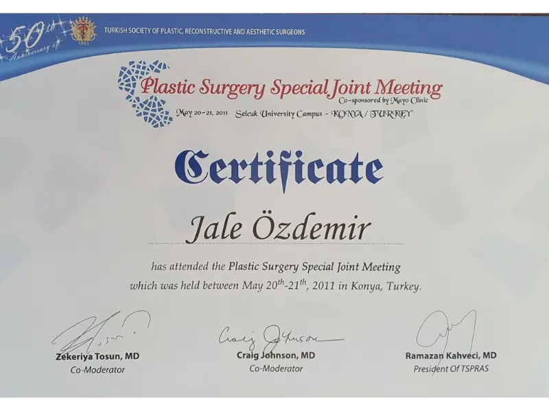 Inferior Gluteal Arter ve Posterior Thigh Perforator Kullanımı Eğitimi Sertifikası